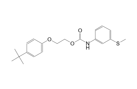 (3-Methylsulfanylphenyl)carbamic acid, 2-(4-tert-butylphenoxy)ethyl ester