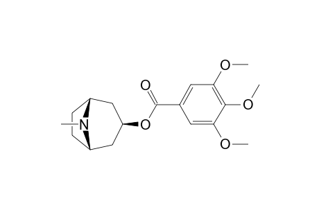 Tropacocaine, 3',4',5'-trimethoxy-