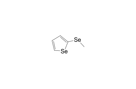 Selenophene, 2-(methylselenyl)-