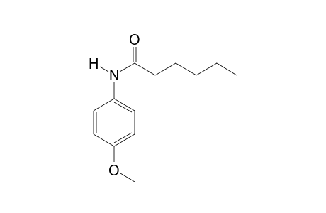 4-Methoxyaniline HEX