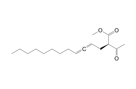 4,5-Tetradecadienoic acid, 2-acetyl-, methyl ester, (R*,S*)-(.+-.)-