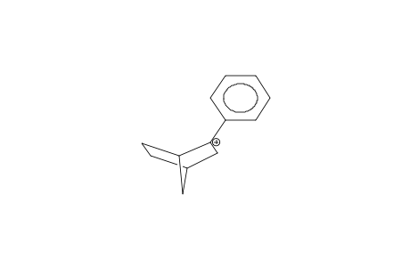 6-PHENYLBICYCLO[2.2.1]HEPTAN-6-YL CATION
