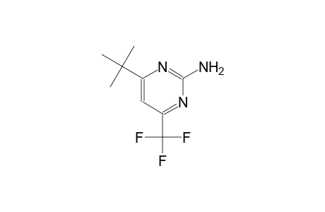 4-tert-butyl-6-(trifluoromethyl)-2-pyrimidinamine