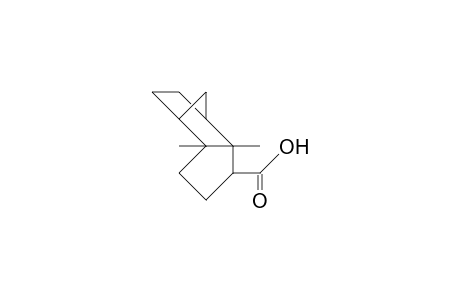 2,6-Dimethyl-exo-tricyclo(5.2.1.0/2,6/)decane-3-endo-carboxylic acid