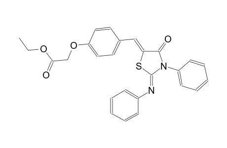 ethyl (4-{(Z)-[(2Z)-4-oxo-3-phenyl-2-(phenylimino)-1,3-thiazolidin-5-ylidene]methyl}phenoxy)acetate