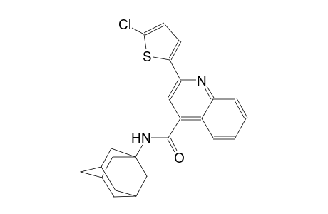 N-(1-adamantyl)-2-(5-chloro-2-thienyl)-4-quinolinecarboxamide