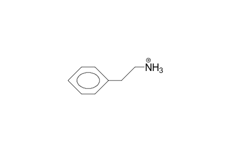 2-Phenyl-ethylammonium cation