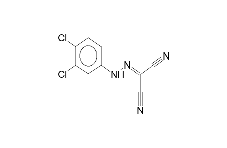 2-[(3,4-Dichlorophenyl)hydrazono]malononitrile