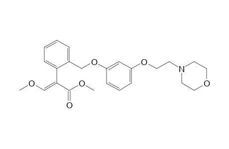 Methyl (E)-3-methoxy-2-[2-[[3-(2-morpholinoethoxy)phenoxy]methyl]phenyl]prop-2-enoate