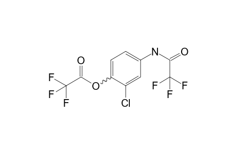 mCPP-M isomer-1 2TFA