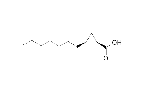 cis-2-Heptylcyclopropyl-1-carboxylic acid