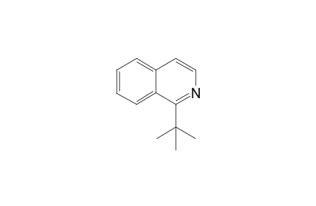 1-(tert-butyl)isoquinoline