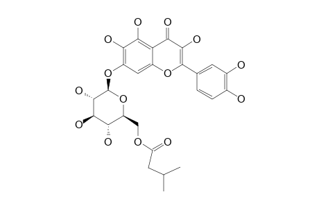 QUERCETAGETIN-7-0-(6''-O-ISOVALERYL)-BETA-D-GLUCOPYRANOSIDE