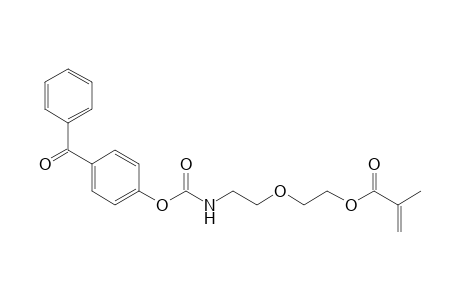 2-Propenoic acid, 2-methyl-, 2-[2-[[(4-benzoylphenoxy)carbonyl]amino]ethoxy]ethyl ester