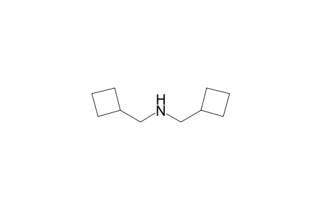 1,1'-dicyclobutyldimethylamine