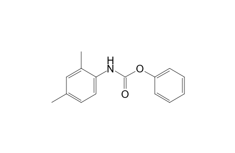 2,4-dimethylcarbanilic acid, phenyl ester