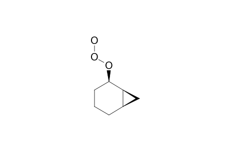ENDO-NORCARANE-2-HYDROTRIOXIDE