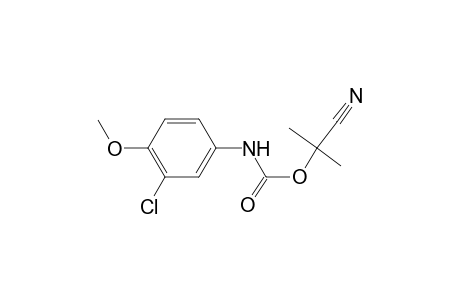 Carbamic acid, N-(3-chloro-4-methoxyphenyl)-, 1-cyano-1-methylethyl ester