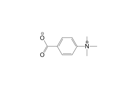 Benzenaminium, 4-carboxy-N,N,N-trimethyl-, hydroxide, inner salt