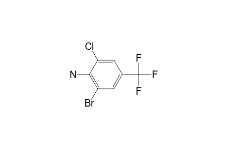 2-Bromo-6-chloro-4-(trifluoromethyl)aniline