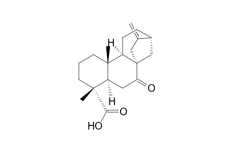 Kaur-16-en-18-oic acid, 7-oxo-, (4.alpha.)-
