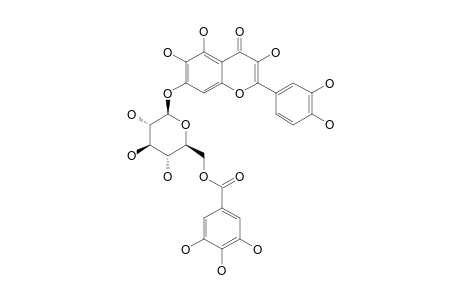 QUERCETAGETIN-7-O-(6-O-GALLOYL-BETA-D-GLUCOPYRANOSIDE)