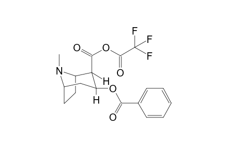 Cocaine-M (desmethyl) TFA