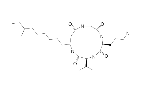 CYCLO-(-GLY-L-ORN-L-VAL-3-AMINO-10-METHYL-DODECANOYL-);RHODOPEPTIN-C1