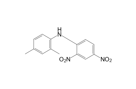 N-(2,4-dinitrophenyl)-2,4-xylidine