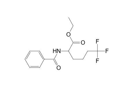 DL-Norleucine, N-benzoyl-6,6,6-trifluoro-, ethyl ester