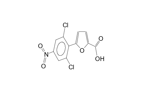5-(2,6-dichloro-4-nitrophenyl)furan-2-carboxylic acid