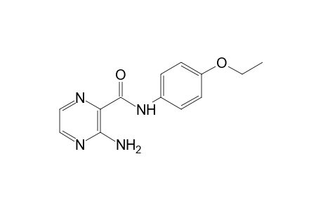 3-aminopyrazinecarboxy-p-phenetidide