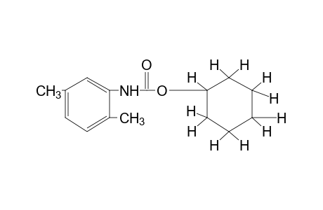 2,5-dimethylcarbanilic acid, cyclohexyl ester