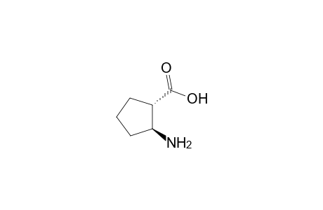 trans-2-aminocyclopentanecarboxylic acid