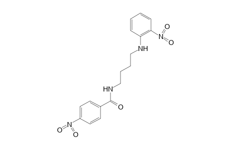 p-nitro-N-[4-(o-nitroanilino)butyl]benzamide