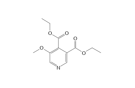 5-methoxy-3,4-pyridinecarboxylic acid, diethyl ester