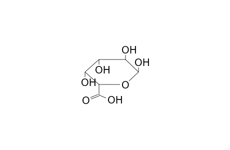 alpha-D-galacturonic acid