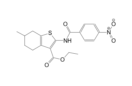 ethyl 6-methyl-2-[(4-nitrobenzoyl)amino]-4,5,6,7-tetrahydro-1-benzothiophene-3-carboxylate