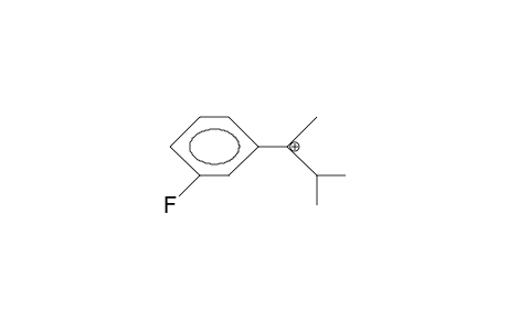 2-(3-Fluoro-phenyl)-3-methyl-2-butylium cation