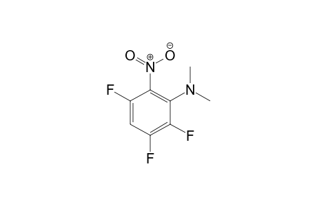 2,3,5-trifluoro-N,N-dimethyl-6-nitroaniline