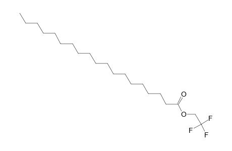 Nonadecanoic acid, 2,2,2- trifluoroethyl ester