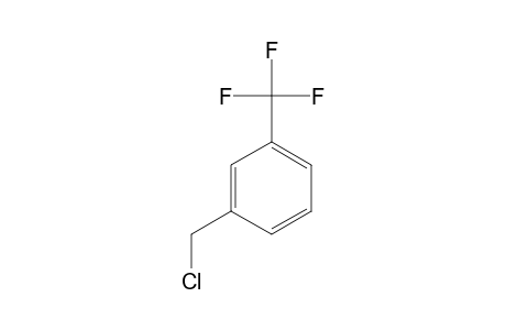 alpha'-Chloro-alpha,alpha,alpha-trifluoro-m-xylene