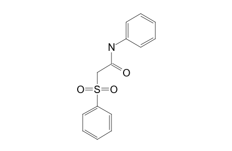 N-phenyl-2-phenylsulfonylacetamide