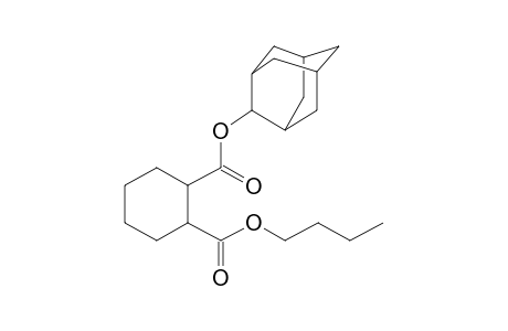 1,2-Cyclohexanedicarboxylic acid, 2-adamantyl butyl ester