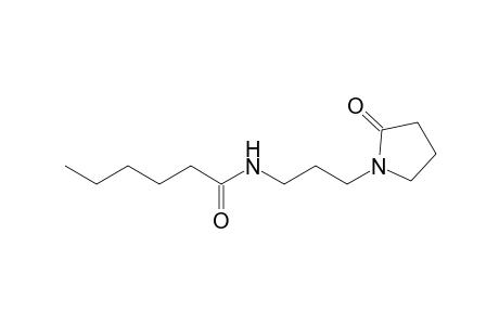 N-[3'-(N'-Hexanoylamino)propyl]-pyrrolidin-2-one