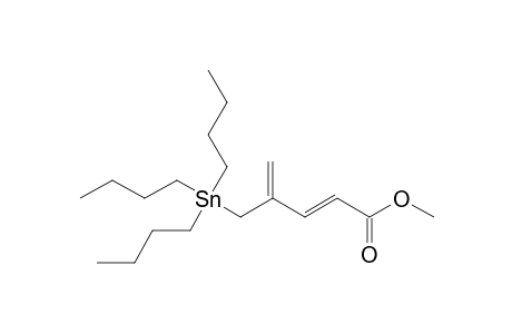 Methyl (E)-4-(tributylstannylmethyl)penta-2,4-dienoate