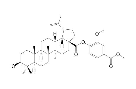 OCIMOL;2-METHOXY-4-CARBOMETHOXYPHENYL-3-BETA-HYDROXY-LUP-20(29)-EN-28-OATE