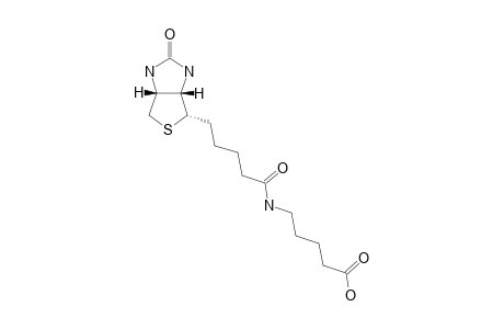 BIOT-3-(4);5-[5-(2-OXO-HEXAHYDROTHIENO-[3,4-D]-IMIDAZOL-6-YL)-PENTANOYLAMINO]-PENTANOIC-ACID