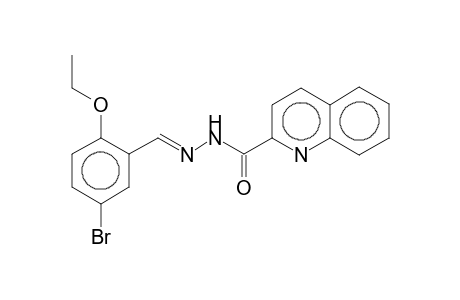 N-[(E)-(5-bromanyl-2-ethoxy-phenyl)methylideneamino]quinoline-2-carboxamide