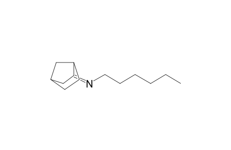 N-n-Hexyl Bicyclo[2.2.1]Heptyl-2-imine